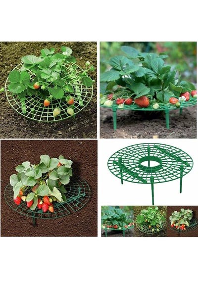 Yate10 2 Adet Plastik Çilek Geliştirme Standı