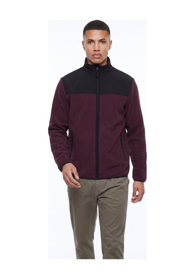 Discovery Expedition D6wm-swt3746 Mor Dik Yaka Jakarlı Erkek Polar Sweatshırt Mürdüm