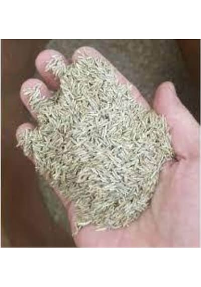 5kg Çim Tohumu Ithal 3lü Karışım Özel Çim Yeşil Çim Tohumu Sürpriz Hediye Tohumludur