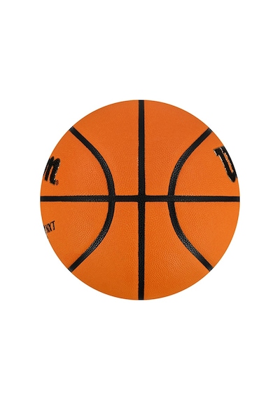 Wilson WTB0965XB Evo Nxt FIBA Onaylı 7 No Basketbol Topu