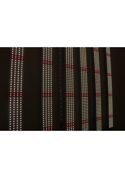 680w Lm281b Bitki Yetiştirme Lambası Full Spektrum