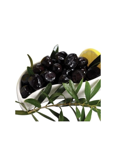 Gemlik Trilye Sofralık Zeytin Fidanı 3 Yaş