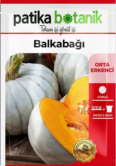 15 Adet Balkabağı Tohumu (Turuncu Etli)
