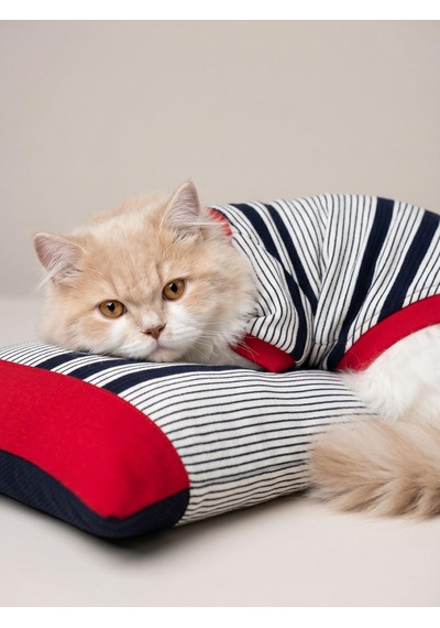 Bubbles Pastel Kedi Uyku Takımı Mini Yastıklı Şeker Renkli Yazlık Kedi Pijama Seti