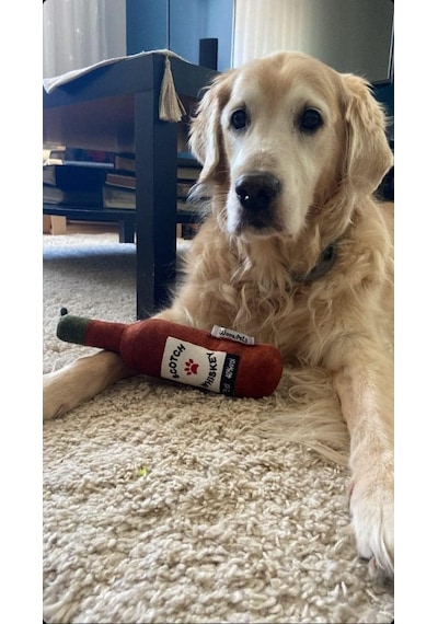 Bottle Toy, Köpek Oyuncağı, Kedi Oyuncağı, Peluş Oyuncak Beyaz