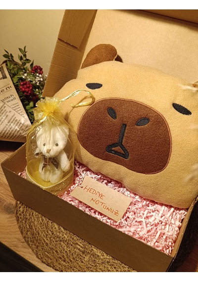 Kutulu Hediye Seti / Capybara Yastık 30cm, Ayıcık Anahtarlık Ve Kalp Şeklinde Tüllü Kutu