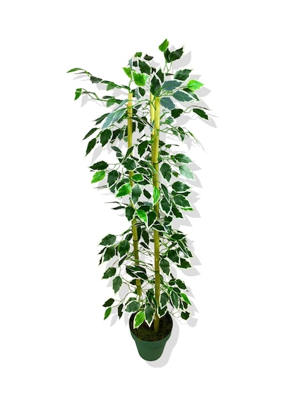 Cihan Çiçekçilik Yapay Yapraklı Fıcus 3 Bambu'lu 110 Cm Beyaz- Yeşil