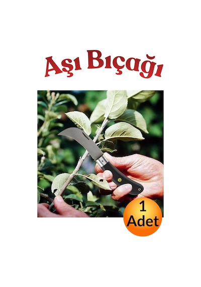 Profesyonel Çelik Aşı Bıçağı 220mm Eğri Uçlu Katlanabilir Keskin Bağ Ağaç Bahçe Budama Çakısı Plastik Saplı Çelik Aşı Çakısı Meyve Ağacı Dal Budama Makası Testeresi Aşılama Bıçakları Çakıları