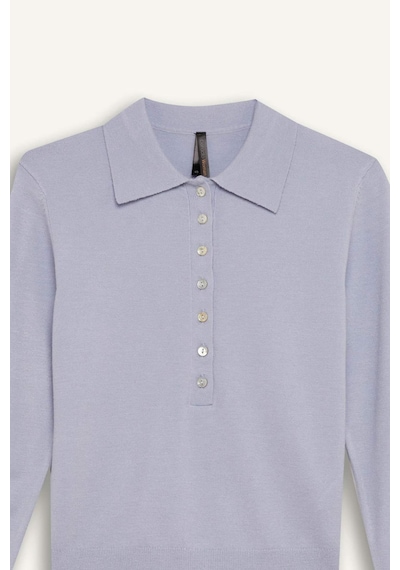 DeFacto Regular Fit Polo Yaka Basic Düz Triko Kazak D6259AX25SPBE250 Mavi