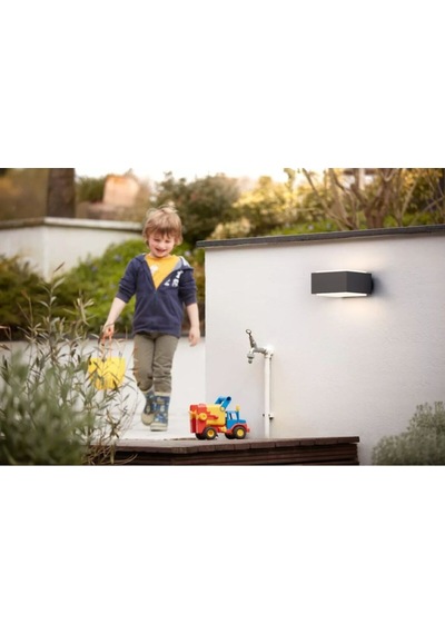 Mygarden Led Dış Mekan Duvar Işığı Hedgehog, Antrasit, E27 Soket, Şık Tasarım Çok Renkli