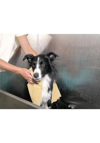 Magic Towel Yüksek Emici Kedi Köpek Kurulama Havlusu 66x43 Cm
