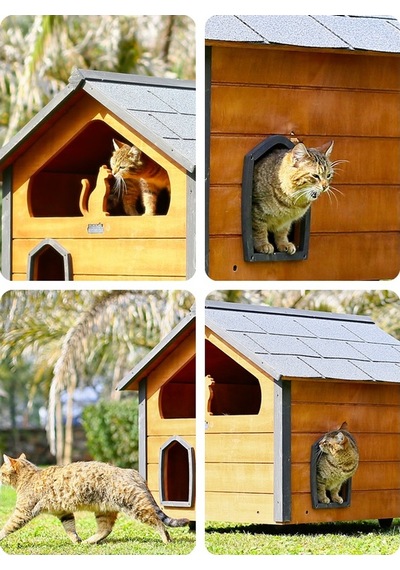 Mandu Ahşap Teraslı Dublex Kedi Evi