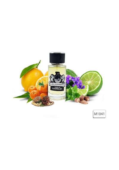 Lion Francesco Scent Of Baghdad Erkek Parfüm EDP 50 ML