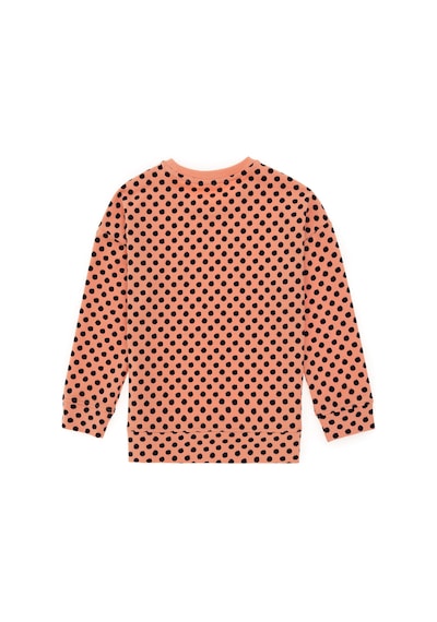 U.s. Polo Assn. Kız Çocuk Somon Sweatshirt 50298157-vr047 Somon