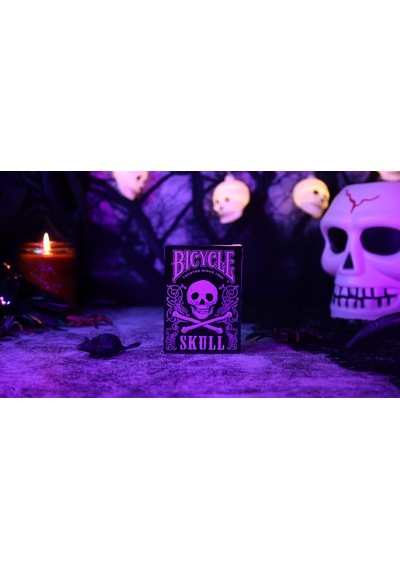 Bicycle Skull Metallic Silver Oyun İskambil Kartı