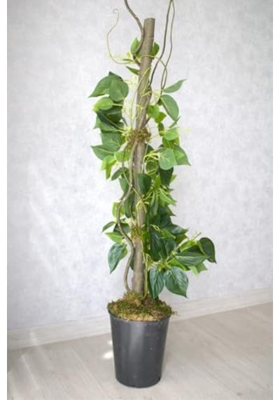 Yapay Bitki Sarmaşık Ağaç, 115 Cm, Siyah Saksı Çok Renkli