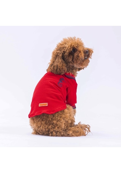 Pawstar Kırmızı Marine Polo Yaka Kedi Köpek Tişörtü Pawstar Kırmızı Marine Polo Yaka Kedi Köpek Tişörtü