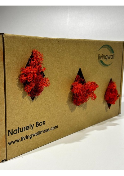 Reindermoss Şoklanmış Norveç Yosunu Terarium Yosunu Kırmızı 500 Gr.
