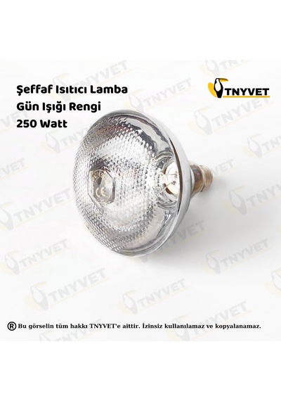 Isıtıcı Lamba Şefffaf Renk 250 Watt + E27 Seramik Duy+2m Fişli Kablo Kullanıma Hazır Set