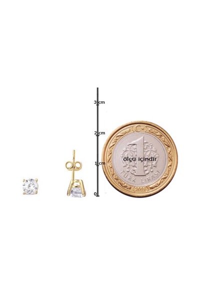 Tektaş 14 Ayar Altın Küpe KPIMS14K20331