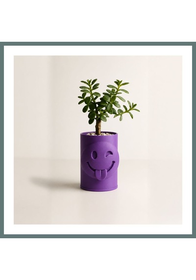Bezos 3d Baskı Emoji Planter - Göz Kırpan Yüzlü Sukulent Saksısı-mor Ventra Standart