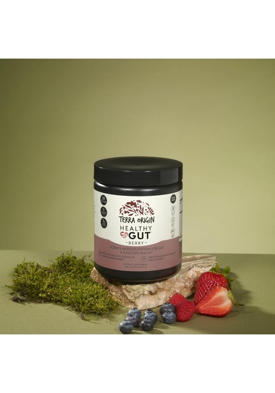 Healthy Gut Berry Pepzingı Zinc Carnosine Copper L-glutamine L-alanyl-l-glutamine N-acetyl-d-glucosamine Slippery Elm Bark Msm Dgl Licorice Stevia Quercetin Carnosine Aloe Vera Healthy Gut Berry Pepzingı Zinc Carnosine Copper L-glutamine L-alanyl-l-glutamine N-acetyl-d-glucosamine Slippery Elm Bark Msm Dgl Licorice Stevia Quercetin Carnosine Aloe Vera