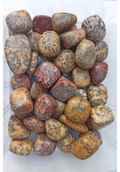 50 Gram Leopar Jasper Tamburlu Parçalar 524