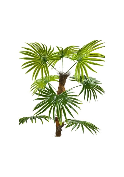 Yapay Ağaç Yelpaze Palmiye 8 Yaprak 85x55Cm Siyah Aleminyum Saksı