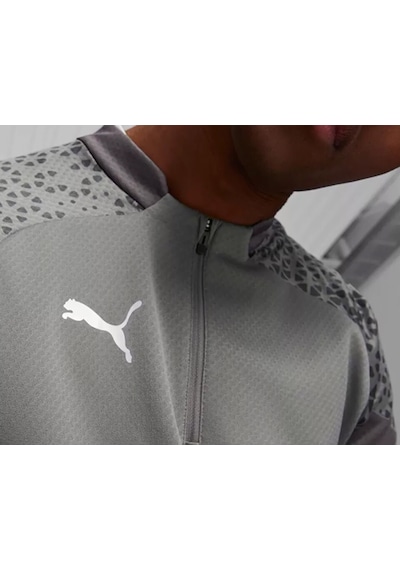 Puma Teamcup Training 1/4 Zip Top Erkek Futbol Uzun Kollu Antrenman Üstü 65798213 Gri 001