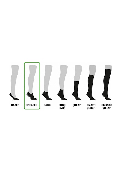 Dündar Çorap 12 Li Erkek Bambu Sneaker 4 Mevsim Nefes Alan Yumuşak Spor Ayakkabı Çorabı Gri