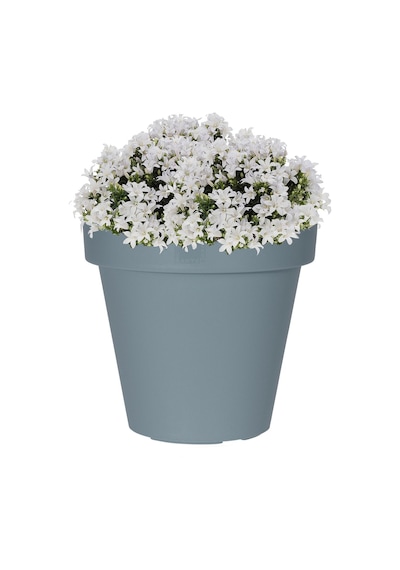 Gri Plastik Yuvarlak Saksı Çap 40 Cm Yükseklik 35 Cm