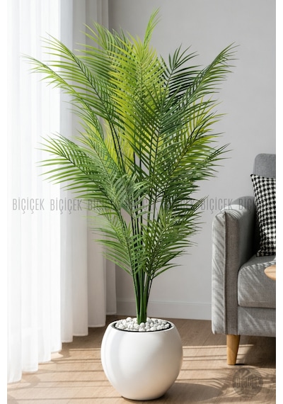 Biçiçek Areka Ağaci 24 Yapraklı 130 Cm Beyaz Küre Saksıda