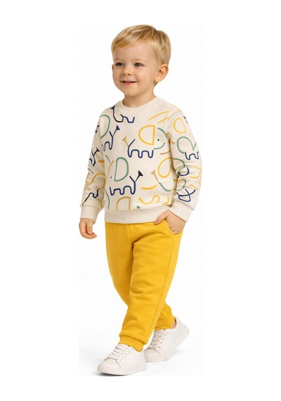 Baglan Erkek Çocuk Önü Baskılı Sweatshirt Ve Eşofman Alt Takım Bgl-st05254 Sarı