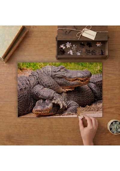 Arkadaş Timsahlar Tasarımı 240 Parça Ahşap Puzzle Ahşap Kutuda Mpy20464