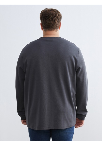 Lcwaıkıkı Classic Antrasit Büyük Beden Bisiklet Yaka Baskılı Erkek Sweatshirt