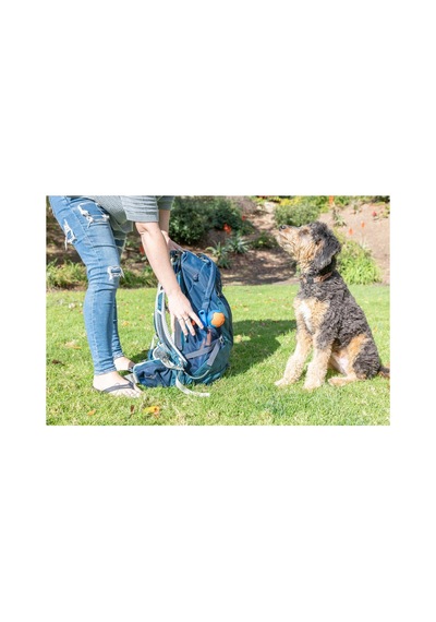 Fetch & Fold Mini Katlanabilir Top Fırlatıcı Küçük Boy Fetch Ball Hediyeli