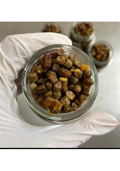 Kazdağı Perga Arı Ekmeği 100G