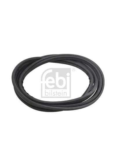Febı 08882 Cam Fitili A1166710020