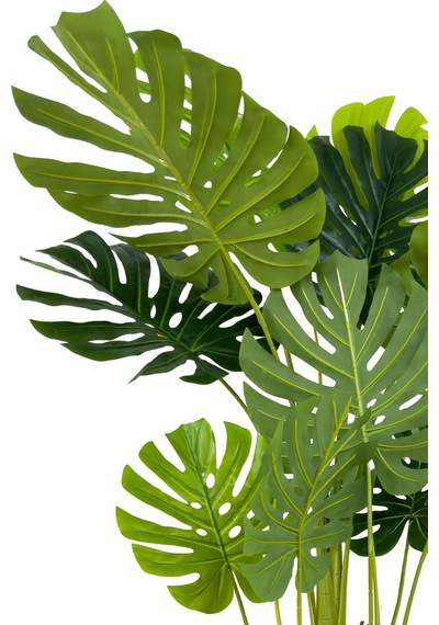 Biçiçek Yapay Monstera Ağacı Deve Tabani 150 Cm Su Sümbülü Hasir Saksıda