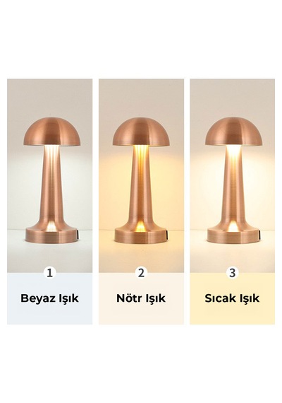 Bood Dl-06 Şarjlı Masa Lambası 6 Saat Tekşarjla Çalışma,dokunmatik,3 Işık Modu,1200 Mah,taşınabilir Bakır