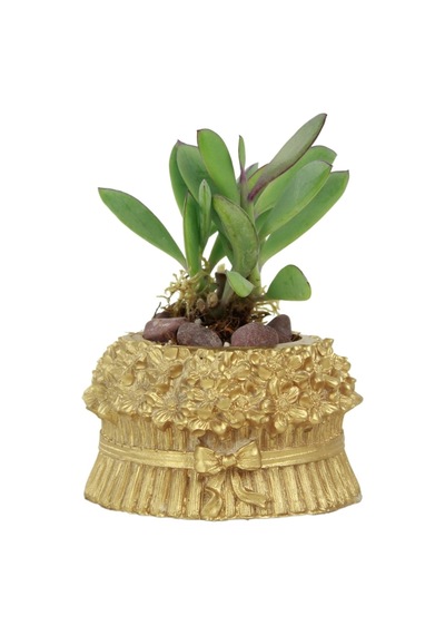 Mini Çiçek Saksı Küçük Sukulent Kaktüs Saksısı Çiçekli Fiyonklu Model - Altın