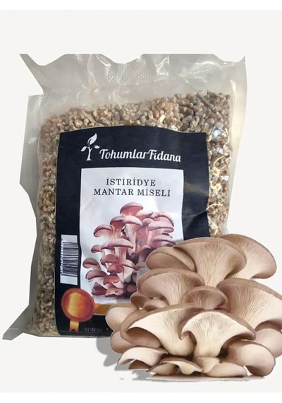 İstiridye Mantarı Miseli Tohumu Vakumlu 2,5 Kg Tohum 10 Adet Micro Delikli Torba Ekim Kılavuzu