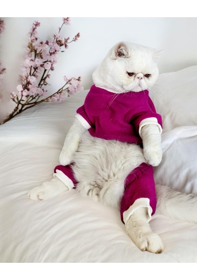 Kemique Foxie Polar Kedi Tulum Pijama