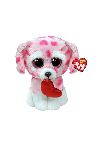 Rory-Dog Val Reg