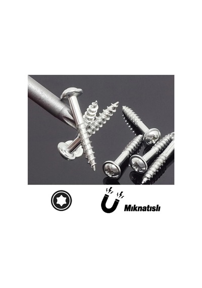 Senbang Manyetik Torx T30 Bits Uç Seti 10 Adet 75 Mm