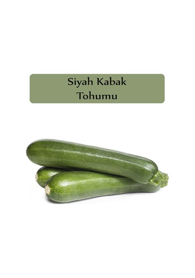Siyah Kabak Tohumu 1 Paket 10GR=100+ Adet Kabak Tohumu Siyah