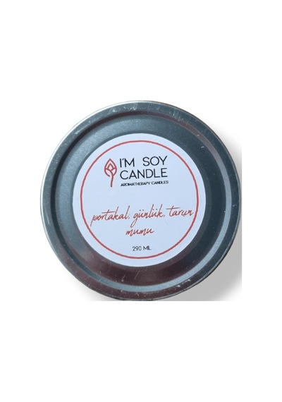 Portakal Günlük Ve Tarçın Mumu 230ml-2631