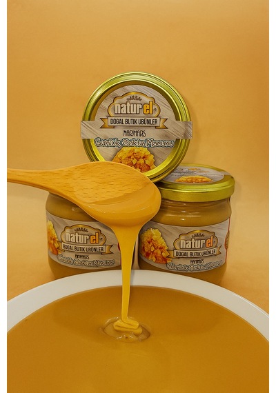 Natur'el Günlük Sakızı Macunu 250 G