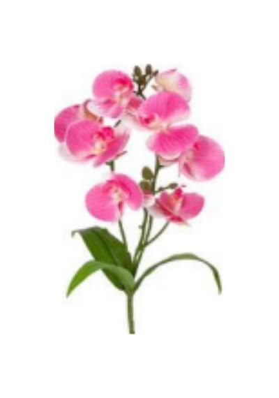 Yapay Çiçek Orkide Gerçek Dokunuş Pembe-sarı 95 Cm Çok Renkli
