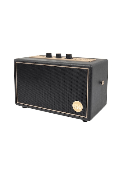 Peaq Iconic Vibe 3 - PPA 550-RW Robbie Williams Edition 60 W Bluetooth Hoparlör